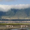 GettyImages-148679836-5b03d89030371300373c5135