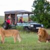 Authentic-safari-camping-in-Amboseli-an