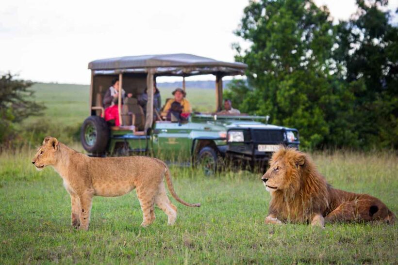 Authentic-safari-camping-in-Amboseli-an